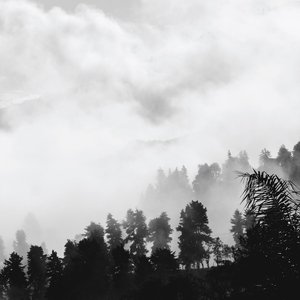 Los Días Invisibles [Explicit]