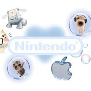 NINTENDO 3DS SETTINGS