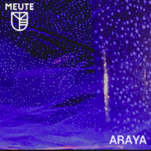 Araya