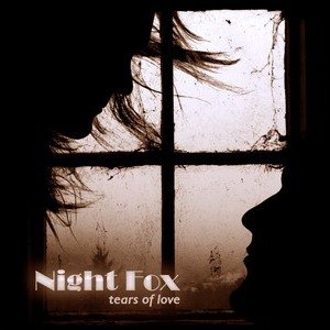 “Night Fox”的封面