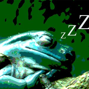 Frogsleep 的头像