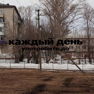 “Каждый день”的封面