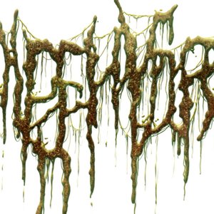 Phemaldehydration 的头像