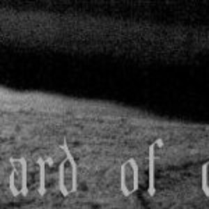 Wizard of Odd 的头像
