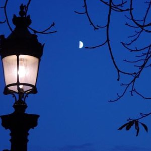 Two Nightbirds 的头像