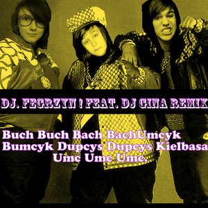 dj fegrzyn! feat dj gina remix 的头像
