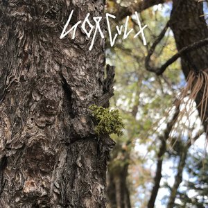 Demo 1