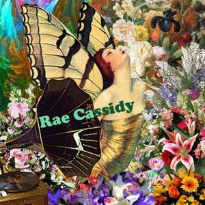 Dreamt Beneath The Cassidy Tree