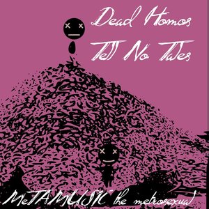 Metamusic the Metrosexual