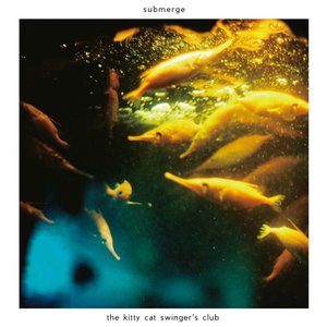 submerge