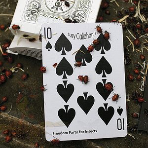 Freedom Party for Insects