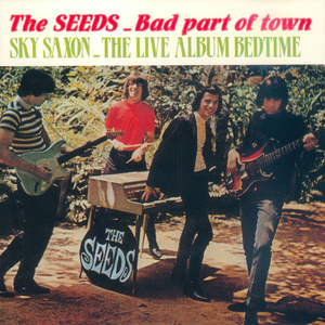 The Seeds - Bad Part Of Town Lyrics - Zortam Music