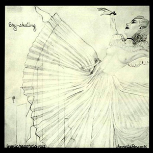 Sky Skating cover