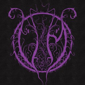 Avatar for Void Mage