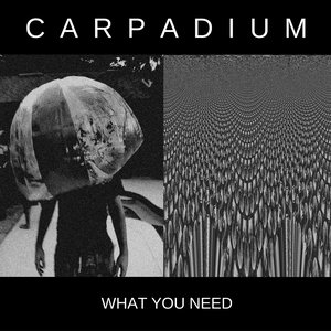 What You Need