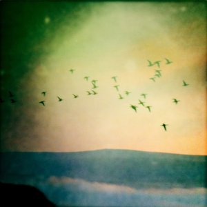 Afar, Farewell