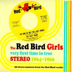 The Red Bird Girls: Very First Time In True Stereo 1964-1966