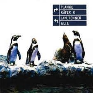Planke / Käfer K / Jan.tenner / Alia