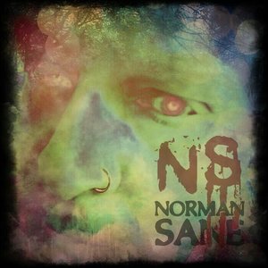 Norman Sane 的头像
