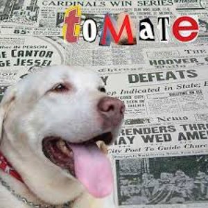 Tomate