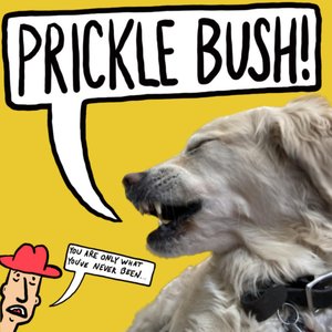 Prickle Bush