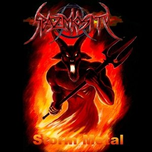 “Storm Metal”的封面