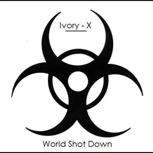 World Shot Down