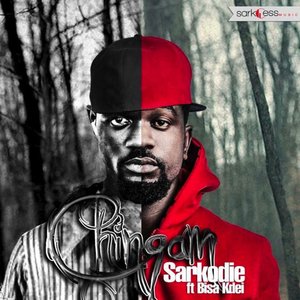 Chingam (feat. Bisa Kdei) - Single