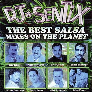 Salsa Mixes