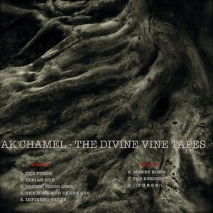 The Divine Vine Tapes