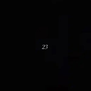 23