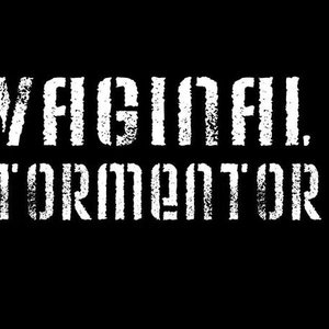 Avatar for Vaginal Tormentor