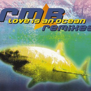 Love is an ocean (remixes)