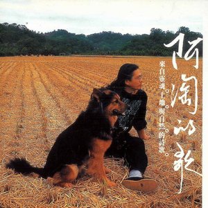 “陳永淘”的封面