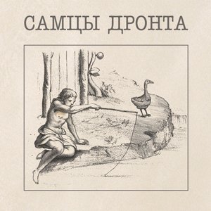 Самцы Дронта