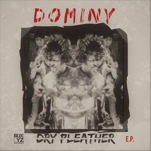 Dry Pleather