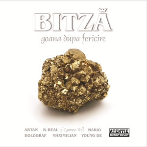 Goana după fericire cover