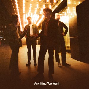 Anything You Want - Single