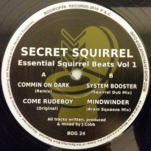 Essential Squirrel Beats Vol​.​1