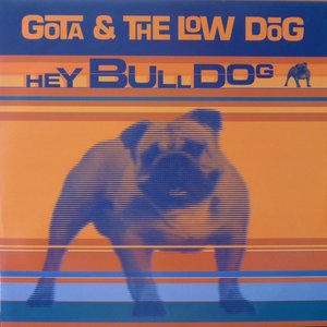 HEY BULLDOG