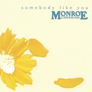 Somebody Like You