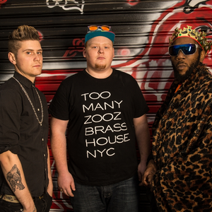 Too Many Zooz photo provided by Last.fm