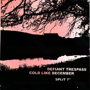 Defiant Trespass 的头像