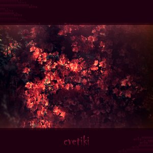 cvetiki