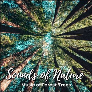 Sounds of Nature: Music of Forest Trees