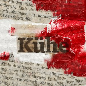 Kühe