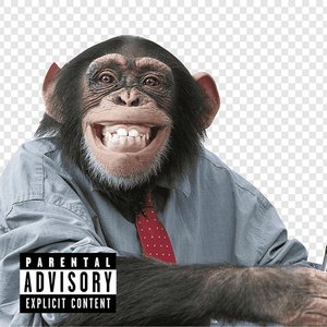 Vote Nojento 2026
