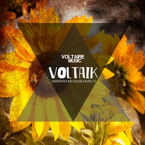 Voltaik, Vol. 13