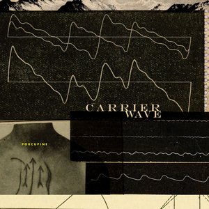 Carrier Wave