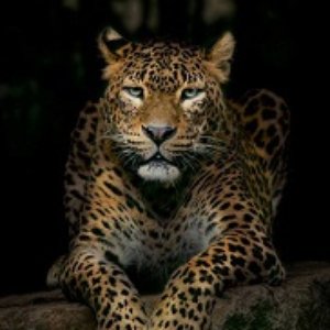 Best of 80's Pop Music Hits. Electropop, Synthpop & Technopop Greatest Songs